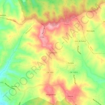 Topografische Karte Carrascos, Höhe, Relief