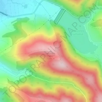 Topografische Karte Muntele Mic, Höhe, Relief