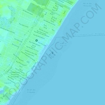 Topografische Karte Barra do Pote, Höhe, Relief