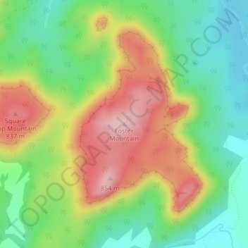 Topografische Karte Foster Mountain, Höhe, Relief