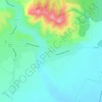 Topografische Karte Țintea, Höhe, Relief