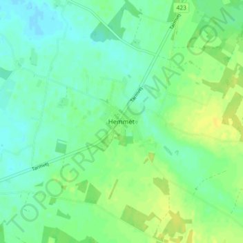 Topografische Karte Hemmet, Höhe, Relief