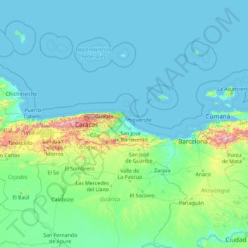 Topografische Karte Palma Sola, Höhe, Relief