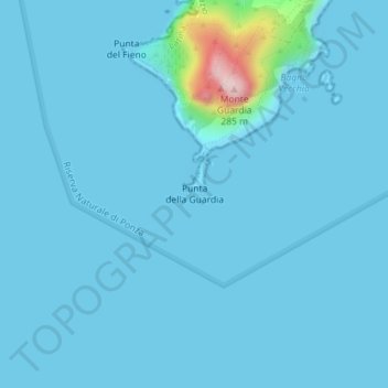 Topografische Karte Punta della Guardia, Höhe, Relief