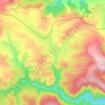 Topografische Karte Păniceni, Höhe, Relief