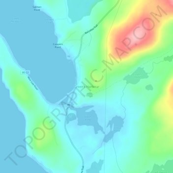 Topografische Karte Green's Harbour, Höhe, Relief