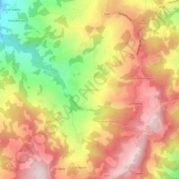 Topografische Karte Roncastaldo, Höhe, Relief