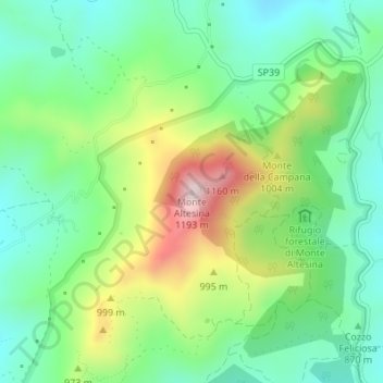 Topografische Karte Monte Altesina, Höhe, Relief