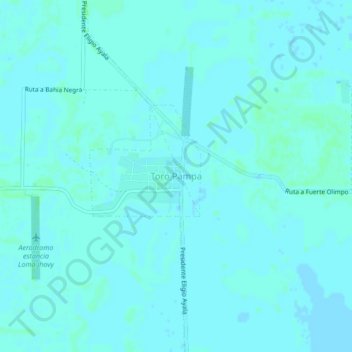Topografische Karte Toro Pampa, Höhe, Relief
