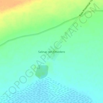 Topografische Karte Salinas del Bebedero, Höhe, Relief