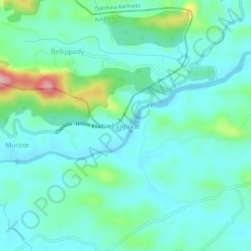 Topografische Karte Panjikkal, Höhe, Relief