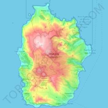 Topografische Karte Ilha das Flores, Höhe, Relief