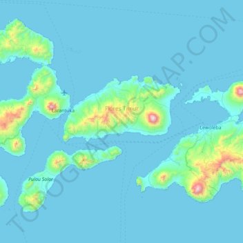 Topografische Karte Flores Timur, Höhe, Relief
