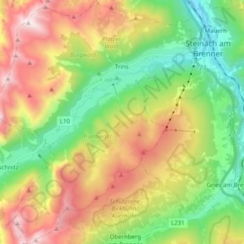 Topografische Karte Trins, Höhe, Relief
