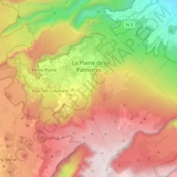 Topografische Karte La Plaine-des-Palmistes, Höhe, Relief