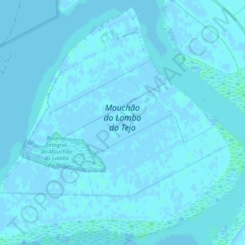 Topografische Karte Mouchão do Lombo do Tejo, Höhe, Relief